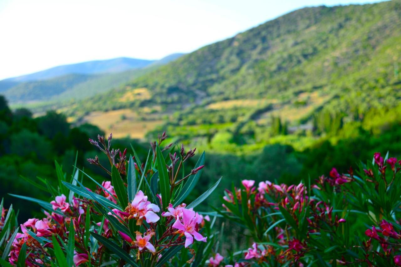 Sosventos Village Hotel Теулада Экстерьер фото